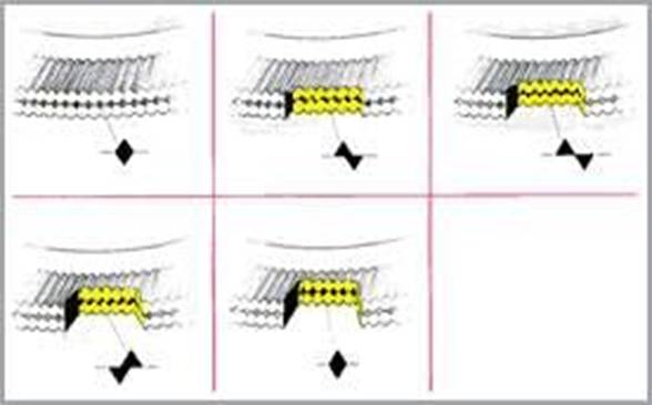 image002.jpg image002.jpg